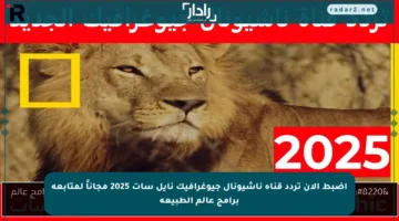اضبط الآن تردد قناة ناشيونال جيوغرافيك نايل سات 2025 مجاناً لمتابعة برامج عالم الطبيعة